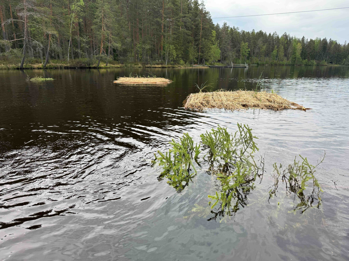 M&auml;rki&ouml;-j&auml;rven lautat ja turot