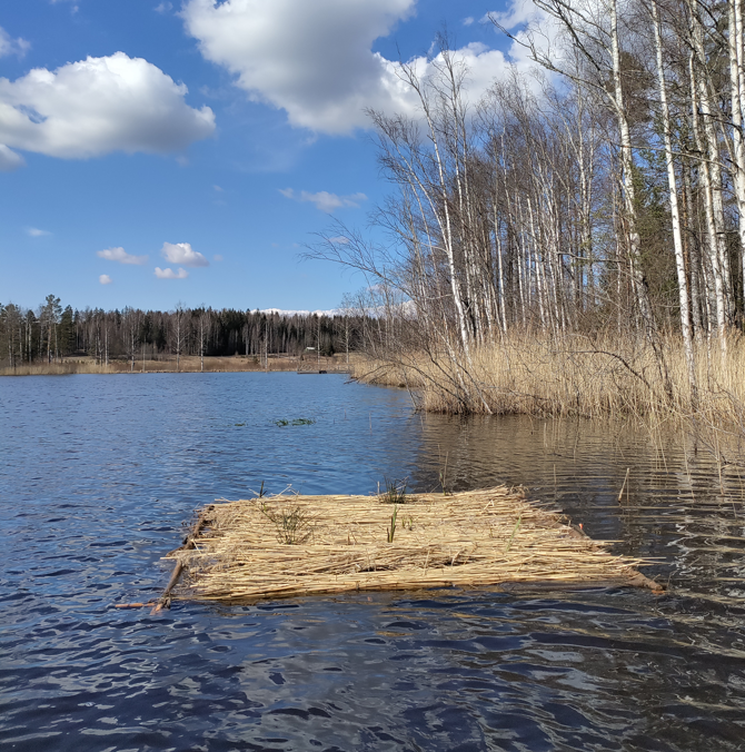 Helgtr&auml;skin 1. lautta