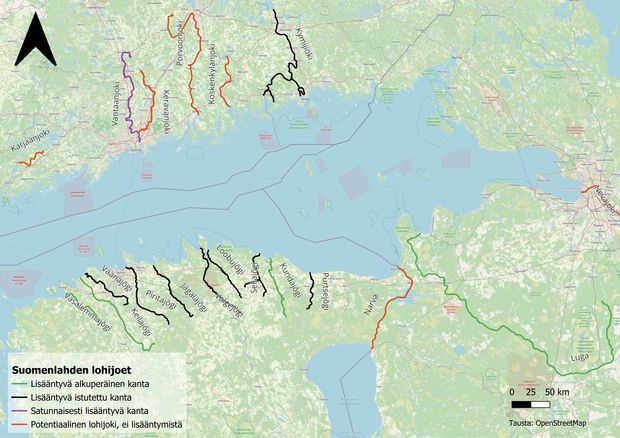 Suomenlahden lohijoet kartta