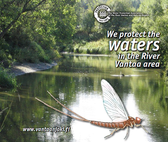 VHVSY brochure